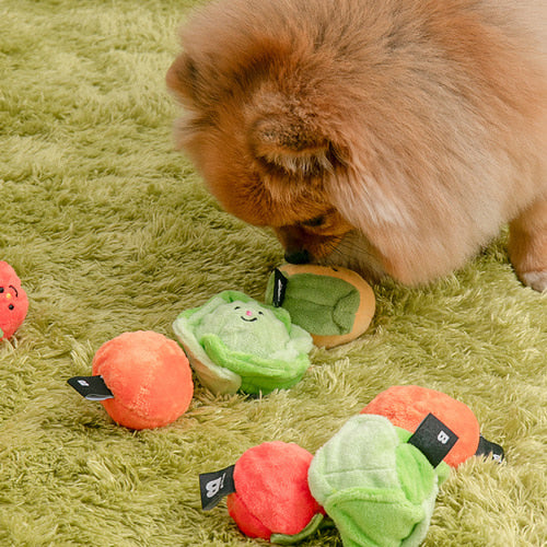 Vegetable Ball Toy (2sets)