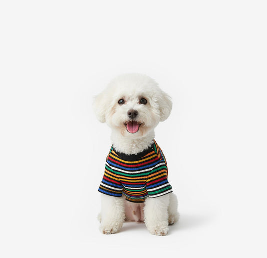 Color Striped Dog Tee