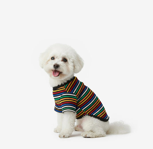 Color Striped Dog Tee
