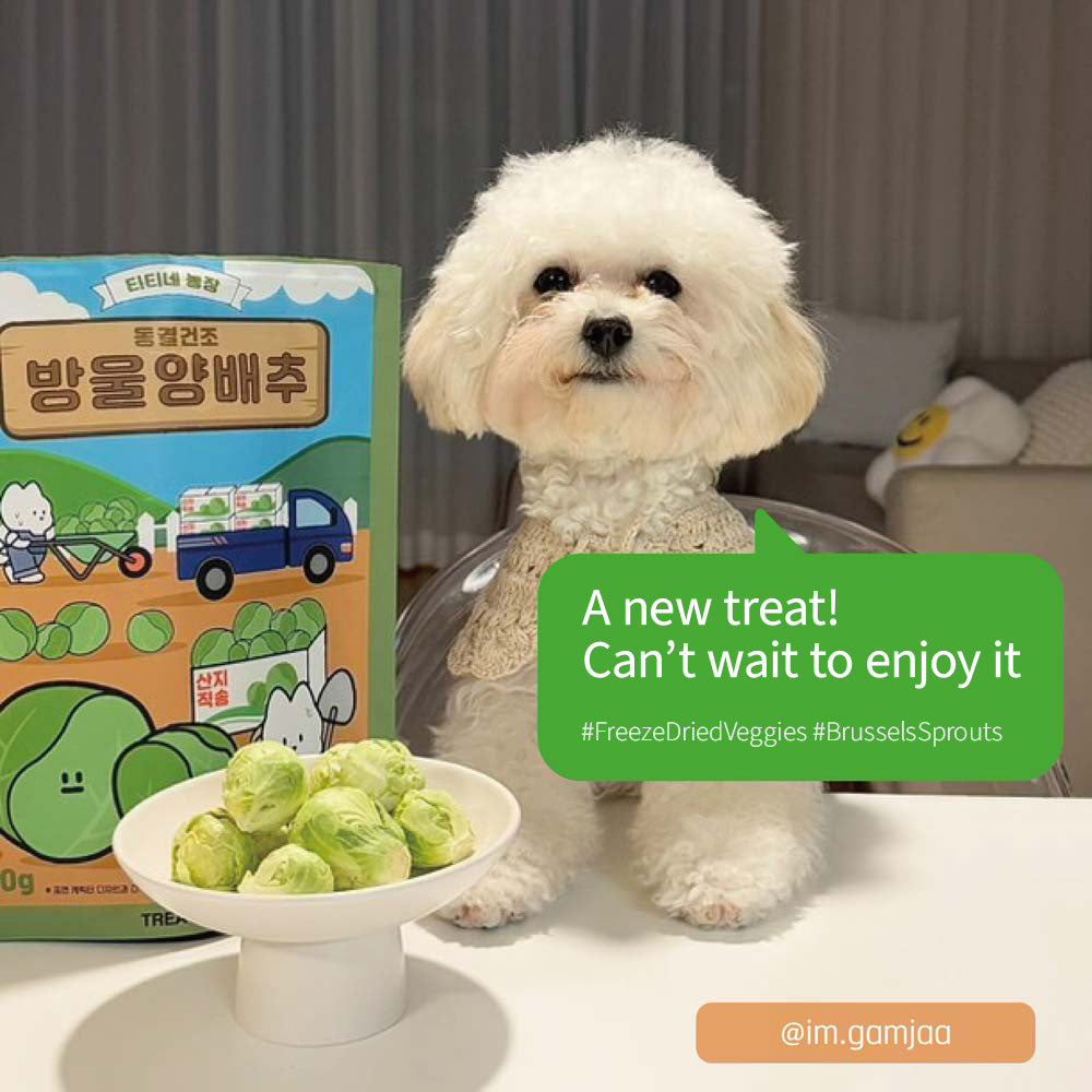 Freeze-dried Brussels Sprout 40g