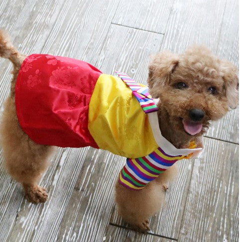 Saekdong Hanbok (2 styles)