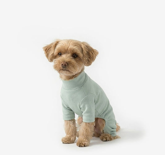 Plain Dog Onesie Mint Gray