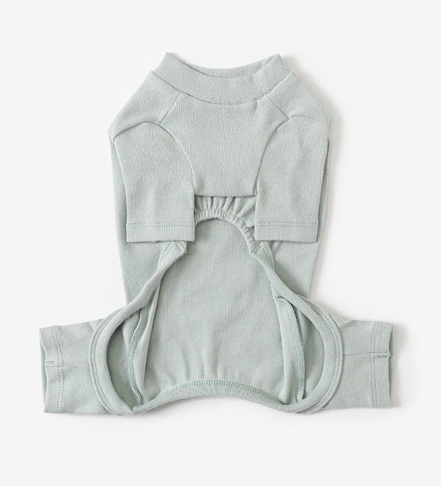 Plain Dog Onesie Mint Gray