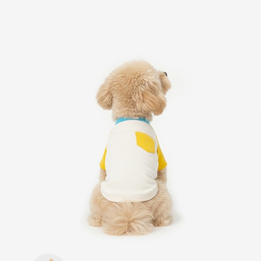 Block Raglan Tee Yellow