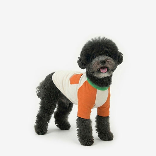 Block Raglan Tee Orange