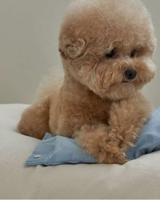 Mini Button Pillow Sky Blue