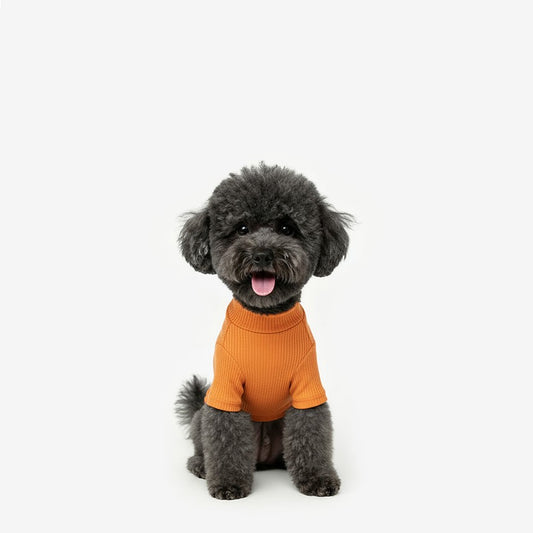 Soft Basic Tee Orange