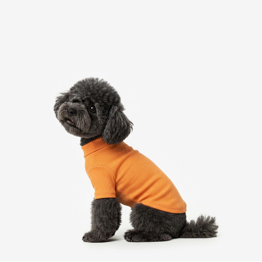 Soft Basic Tee Orange