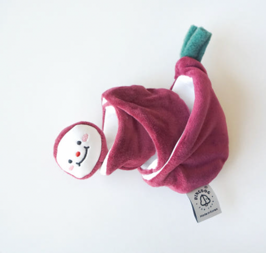 Red Onion Nosework Toy