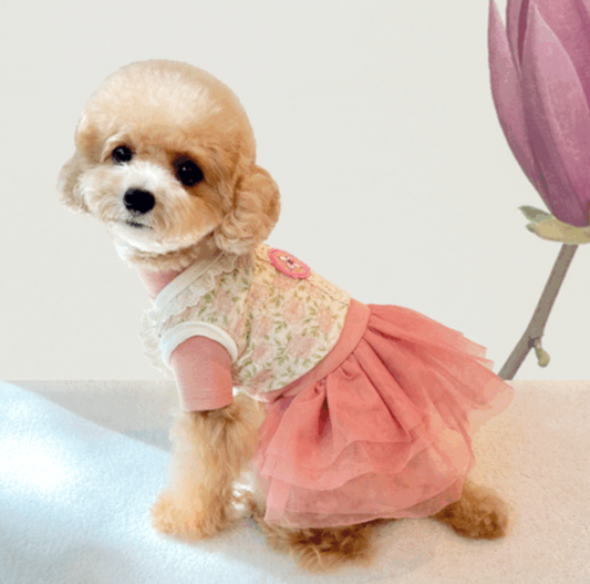 Lace Hanbok Vest (2 colors)