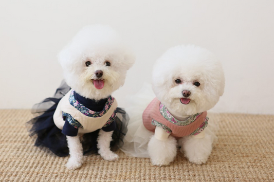 Quilted Hanbok Vest (2 colors)