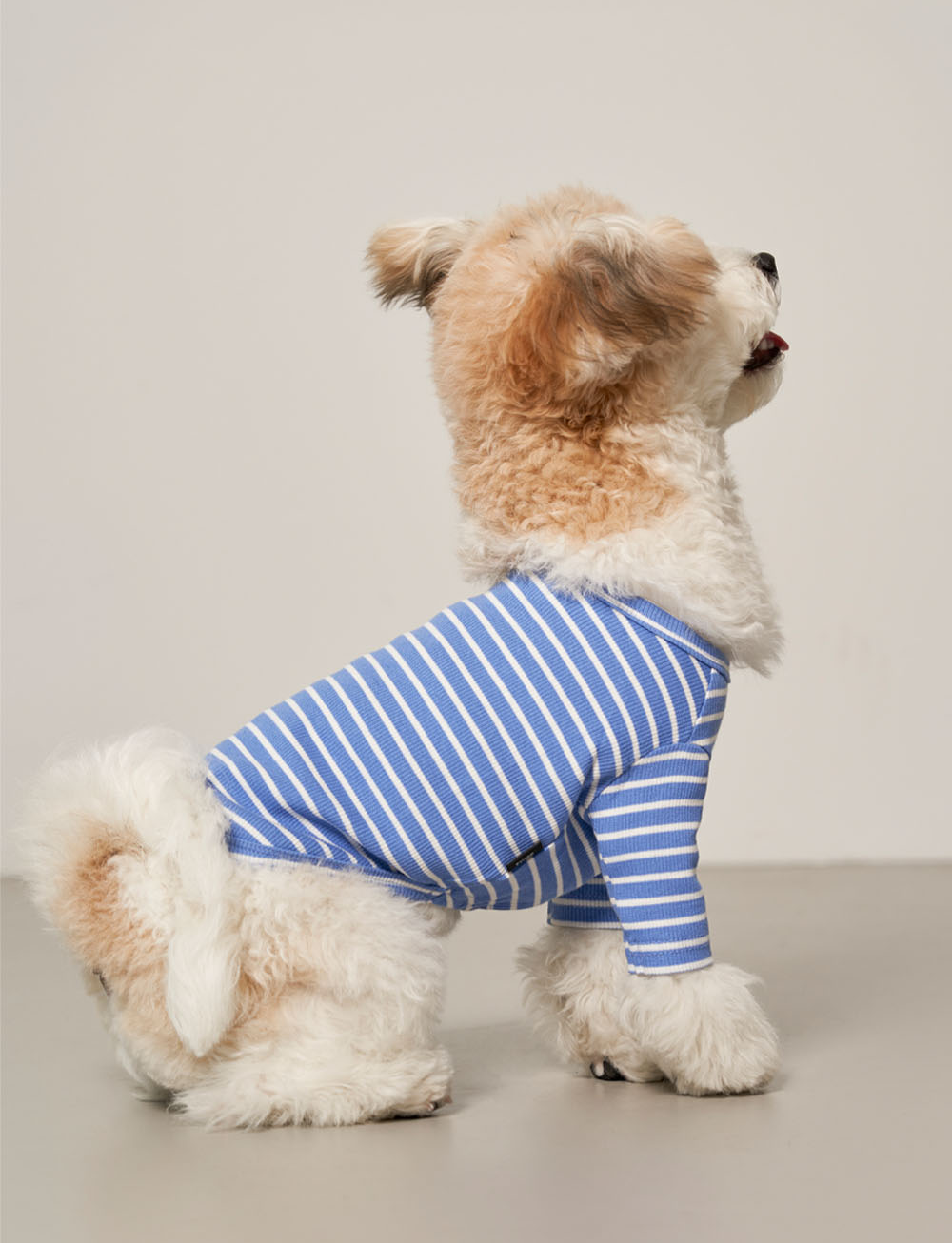 Striped T-Shirt (Blue) Preorder