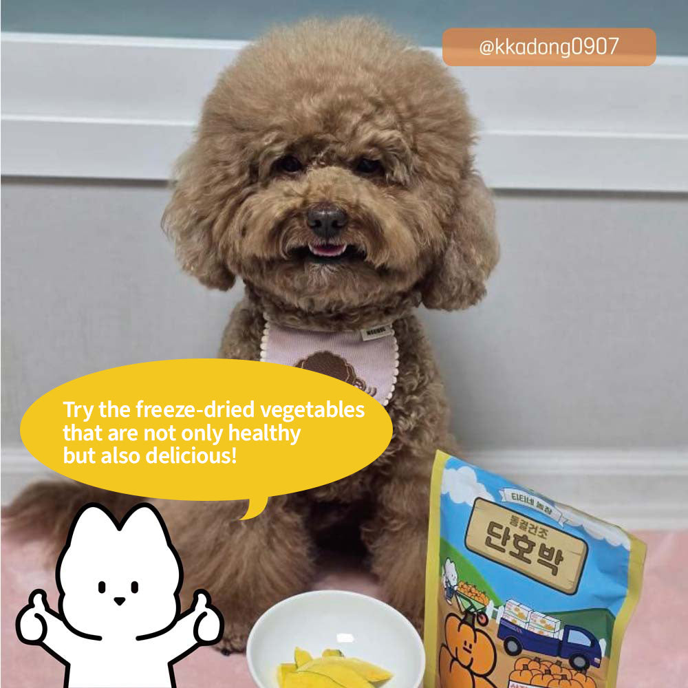 Freeze-dried Sweet Pumpkin 40g