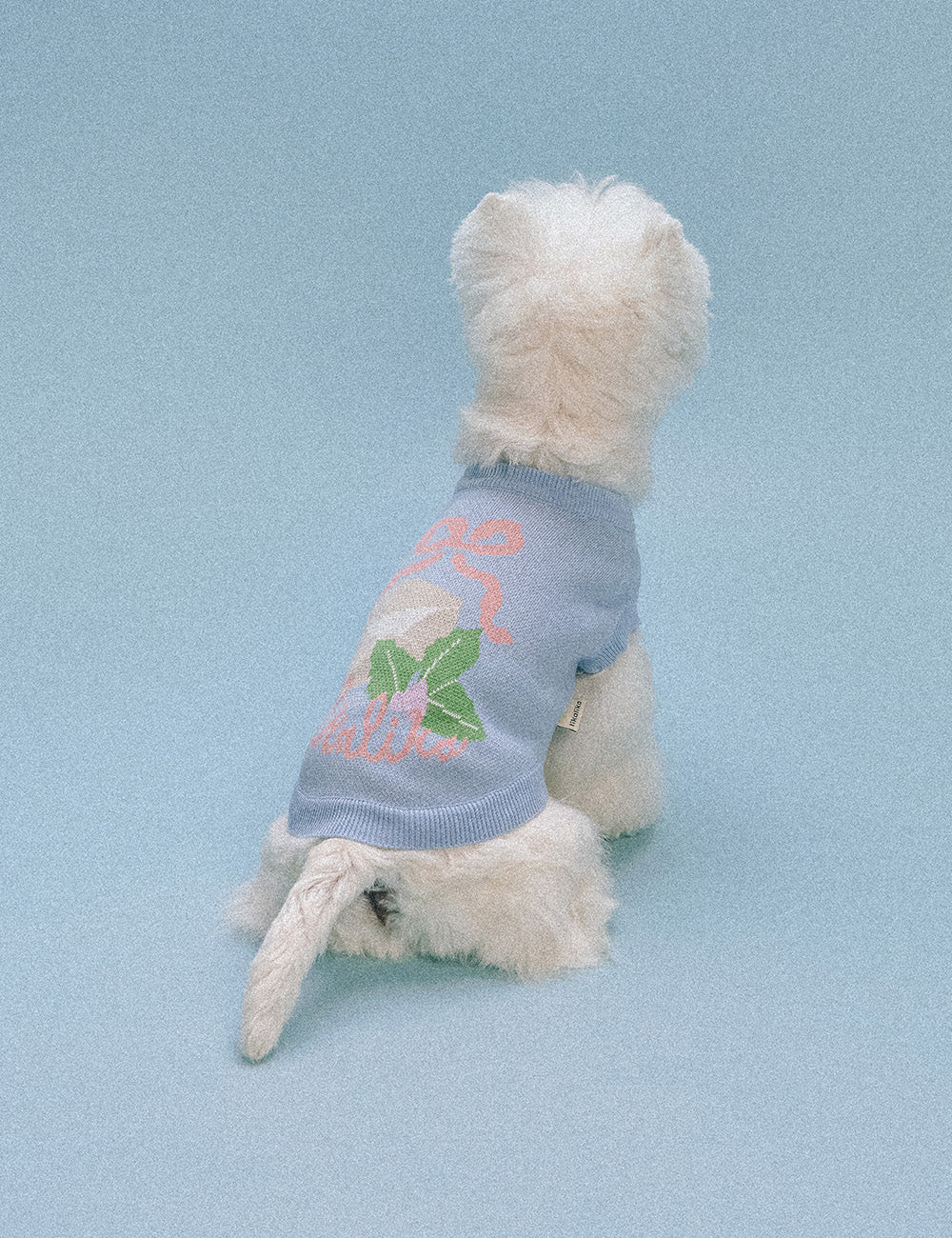 Moment Knit (2 colors) preorder