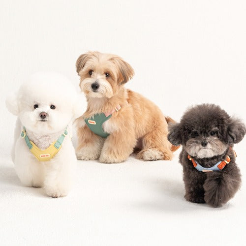 Comfort Harness (3 colors)