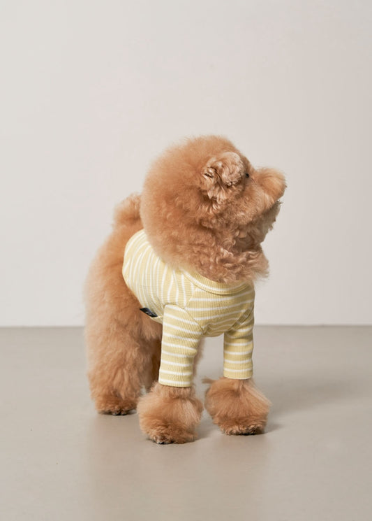 Striped T-Shirt (Lime Yellow) Preorder