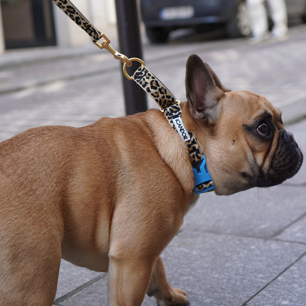 Martingale Collar Buckle (Leopard)