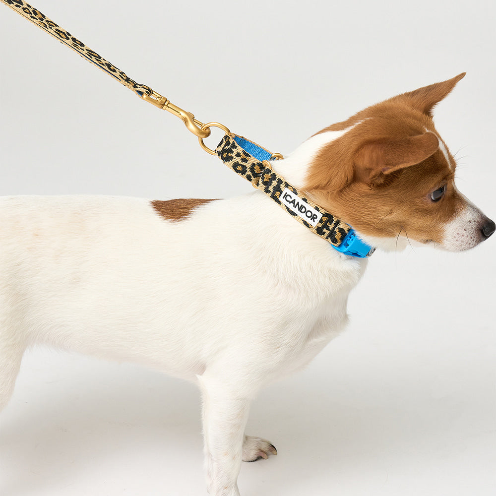 Martingale Collar Buckle (Leopard)