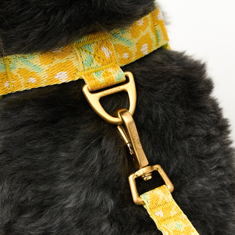No-Pull Harness (Big Fish Yellow)