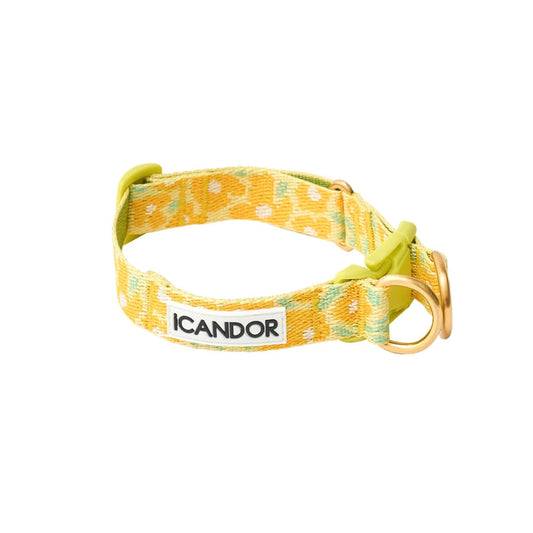 Gentle Collar Dual (Big Fish Yellow)