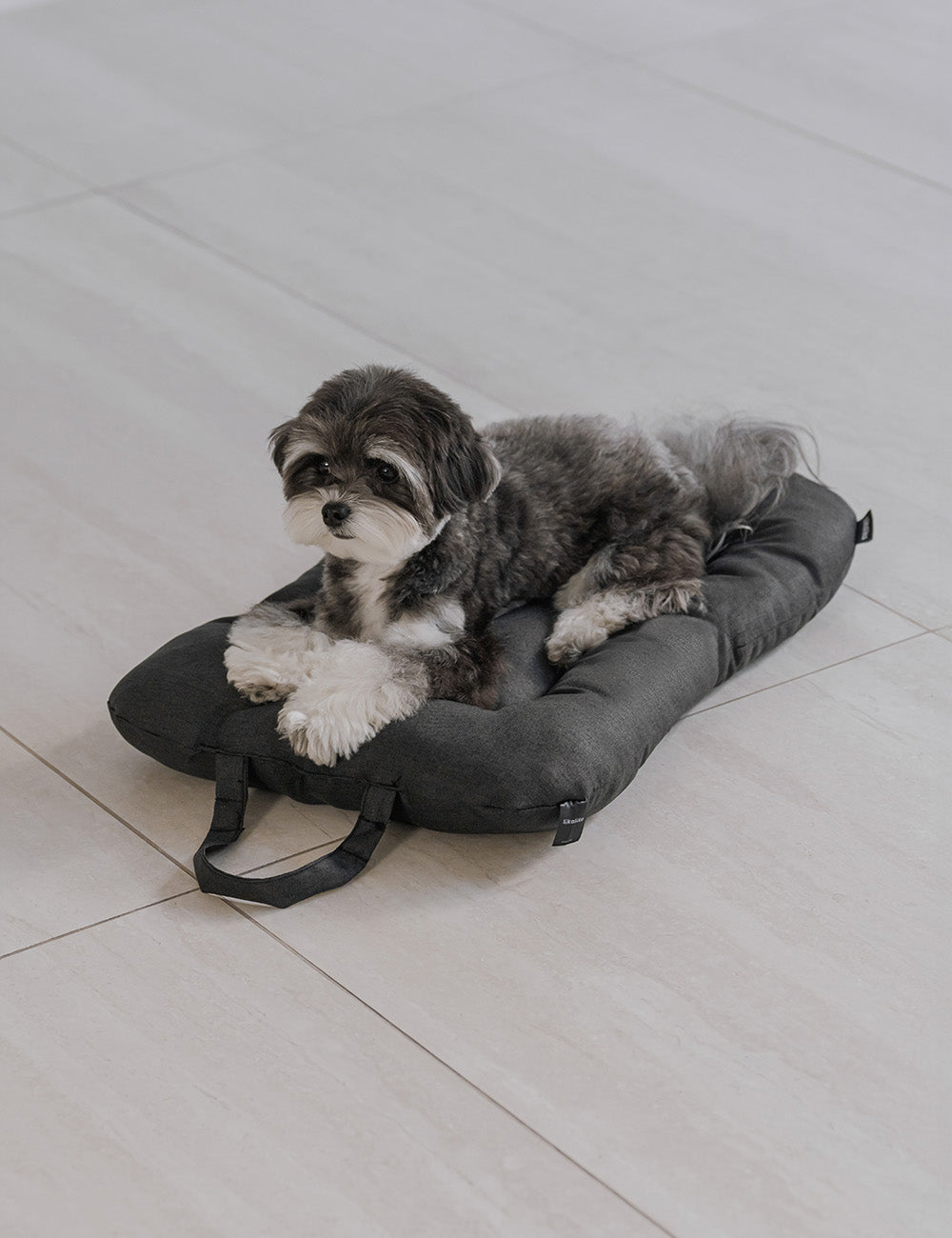 All Day Light Pet Stroller 2nd Gen Additional Items