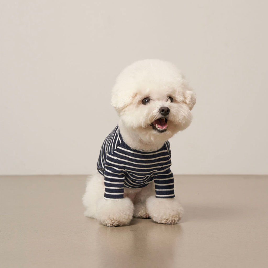 Striped T-Shirt (Navy) Preorder