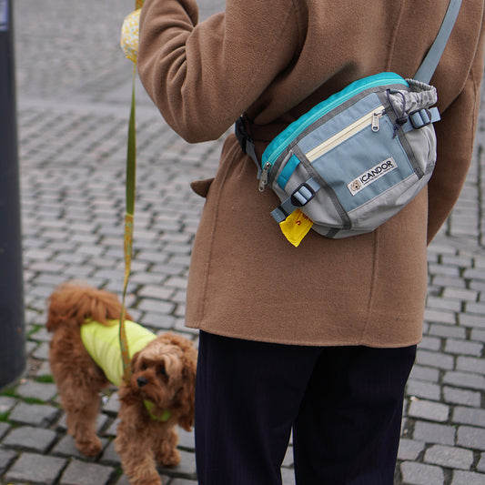 Urban Explorer Bag Icy Gray