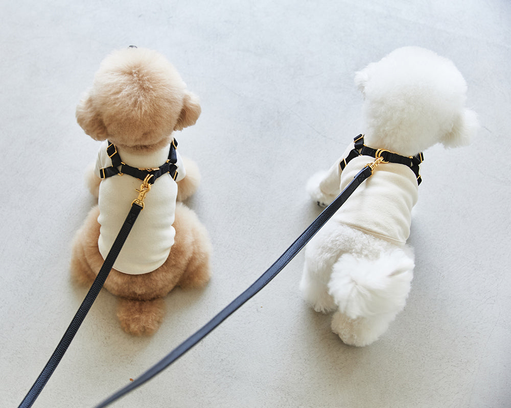 Delight One-Touch Buckle Harness (4 colors) preorder