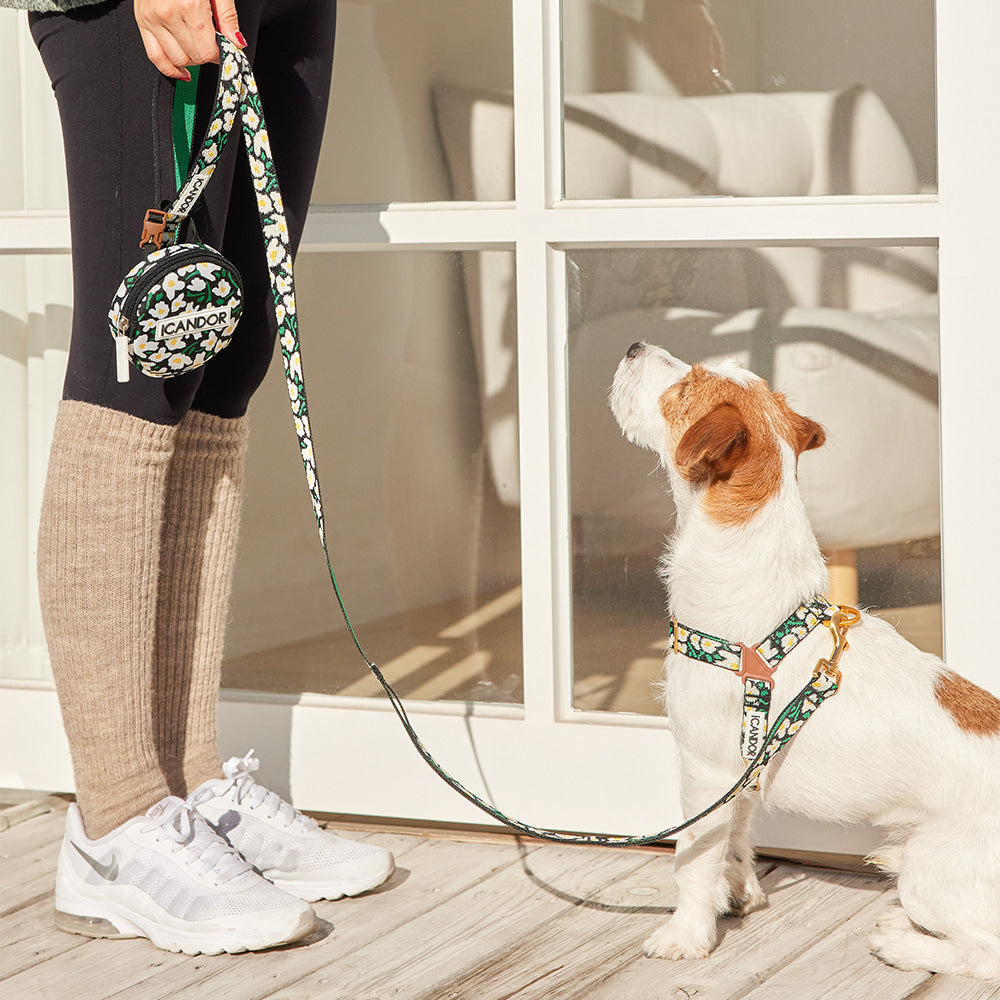 Dingle Dangle Poop Bag Pouch (Big Fish)
