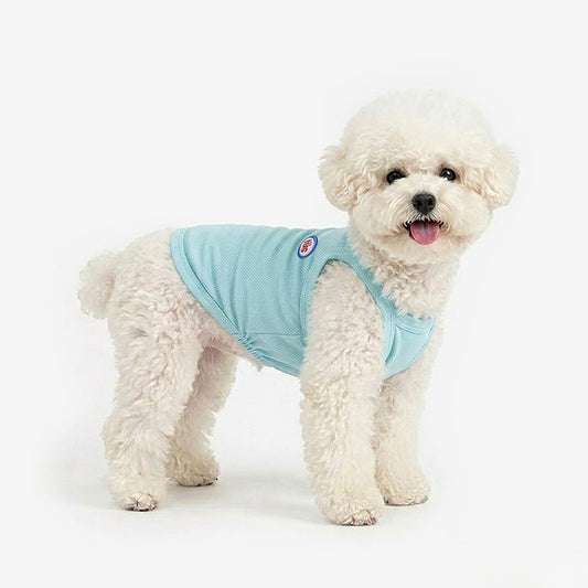 Cool Top (Mint Blue)