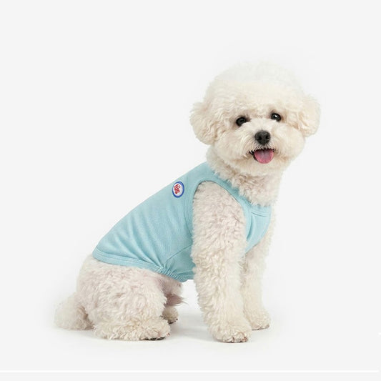 Cool Top (Mint Blue)
