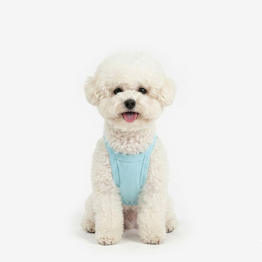 Cool Top (Mint Blue)