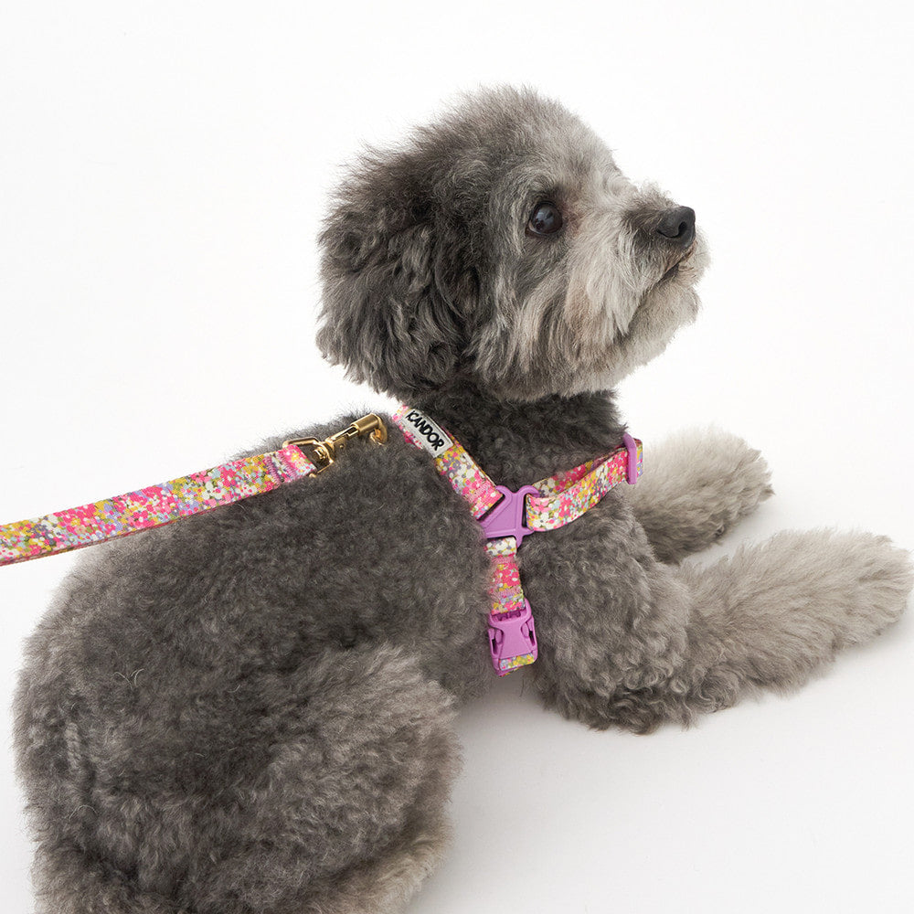 No-Pull Harness (Flora)