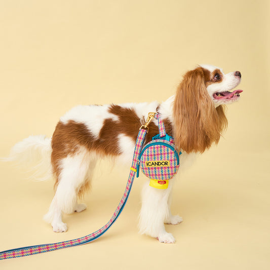 No-Pull Harness (Edinburgh Check) Preorder