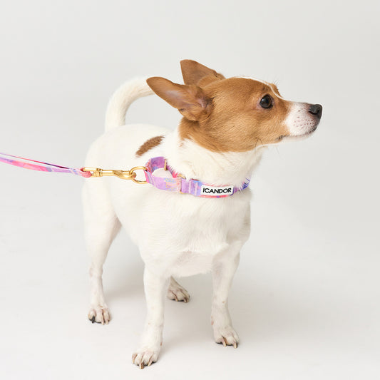 Martingale Collar Buckle (Milky Way)