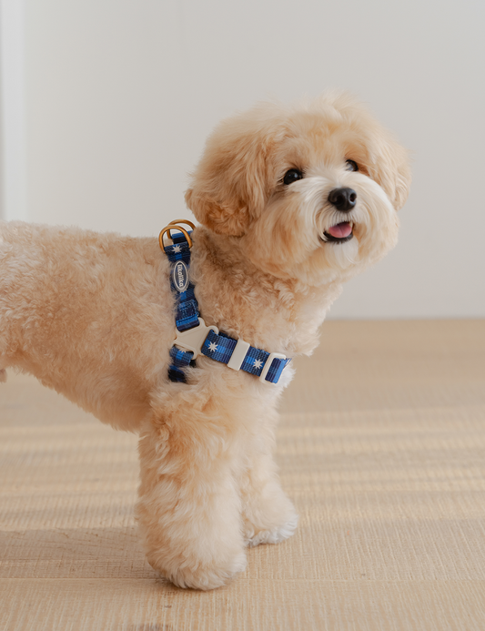 Stella Check Harness L-Shape (2 colors)