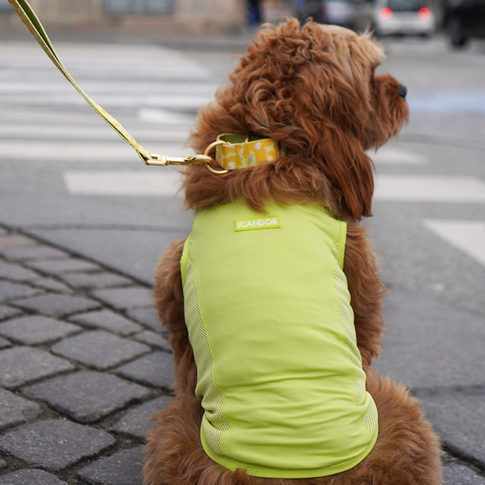 Ocean Cooling Vest (Minty Lime)