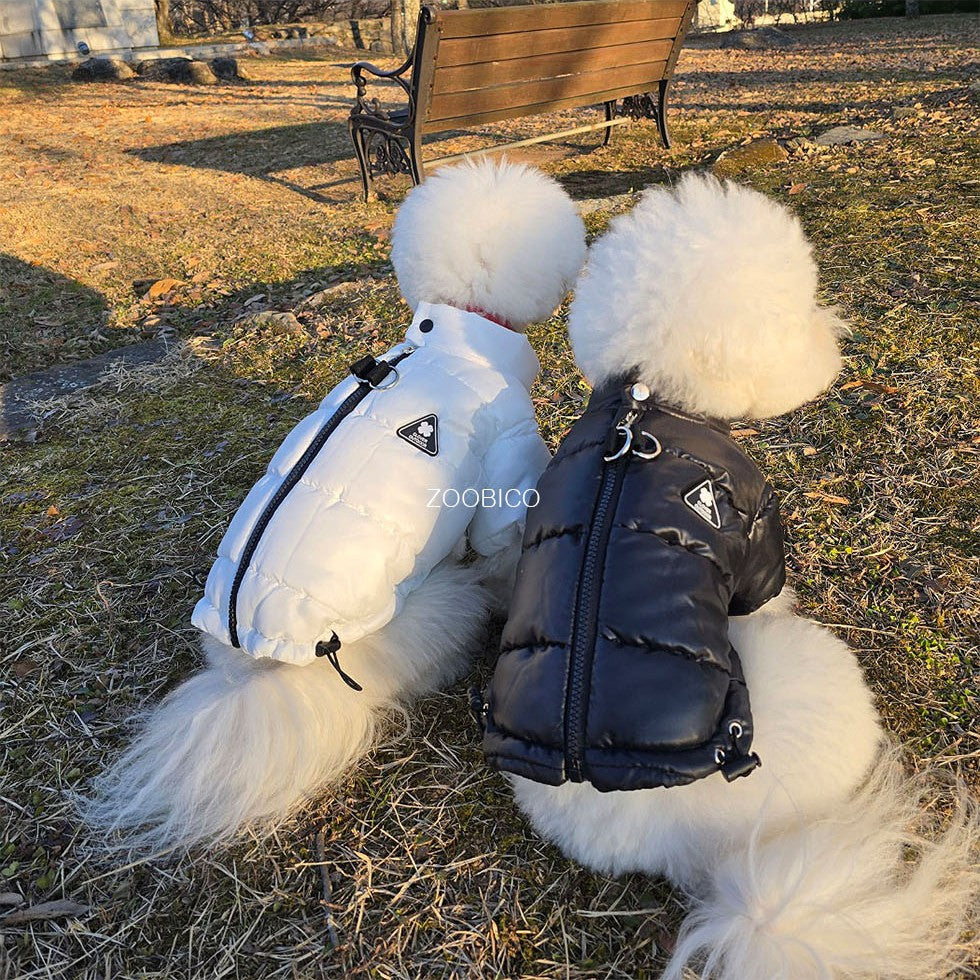 Outdoor Glossy Puffer Jacket (2 colors)