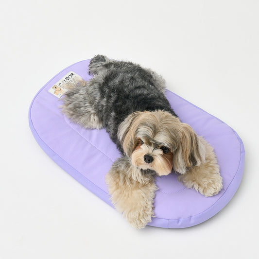 Urban Nest Cushion Lavender