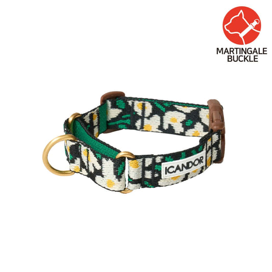Martingale Collar Buckle (Big Fish)