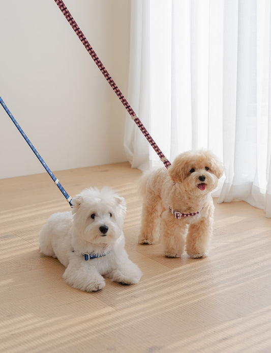 Stella Check Hands-Free Leash (2 colors)