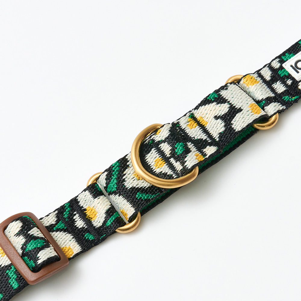 Martingale Collar Buckle (Big Fish)