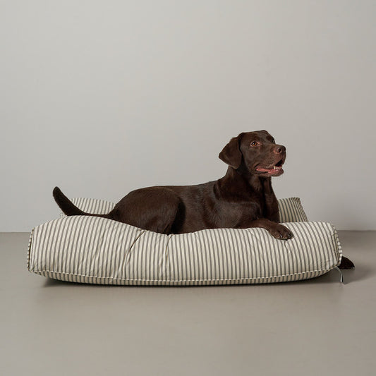 Big Rest Bed (3 colors)