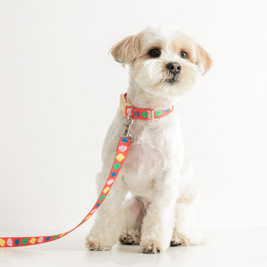 PPP STUDIO - Dog Leash (2 colors)