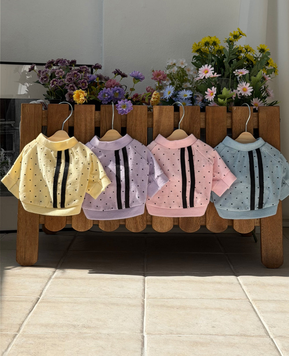 Terry Dot Sweatshirt (4 colors)