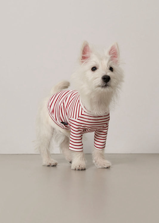 Striped T-Shirt (Red) Preorder