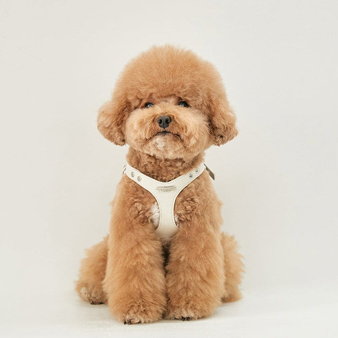 Delight Harness White preorder