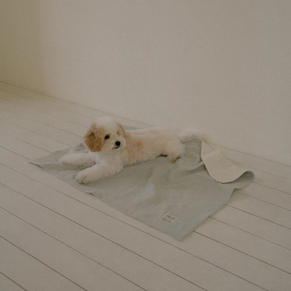 Double Gauze Blanket Pale Blue