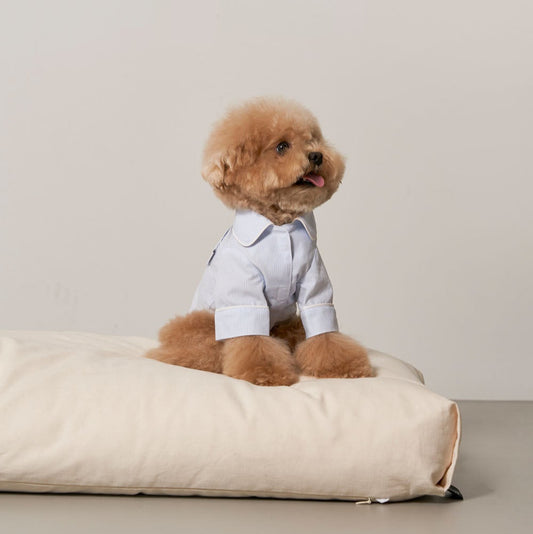 Cotton Sleepwear Candy Stripe (Light Blue) Preorder