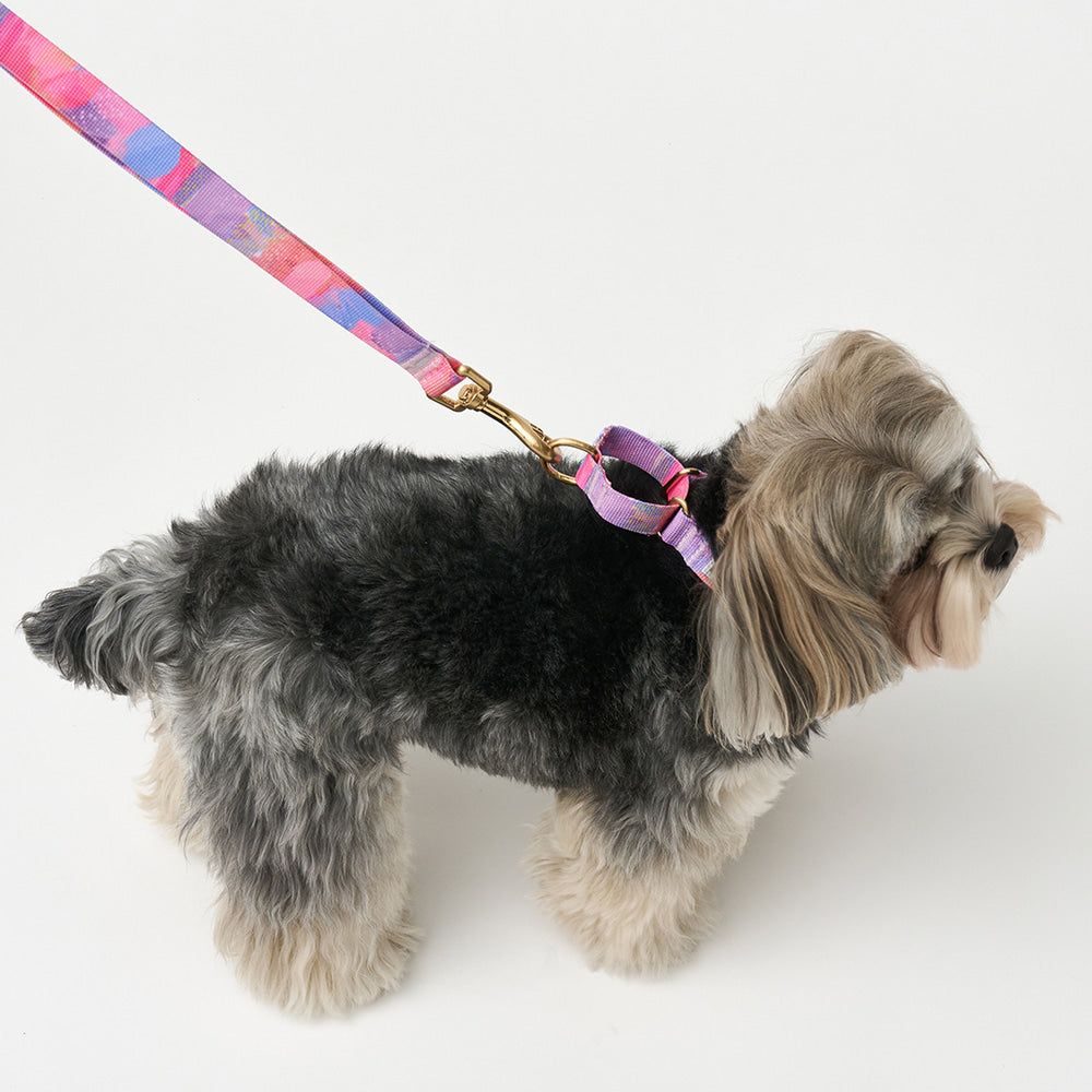 Martingale Collar Buckle (Milky Way)